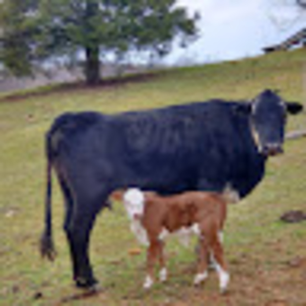 Meet your Posher, Leah